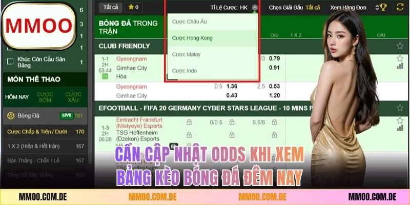 Cần cập nhật odds khi xem bảng kèo bóng đá đêm nay