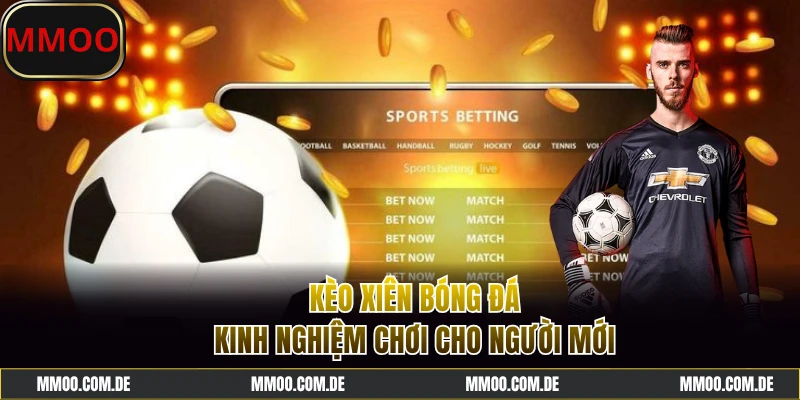 Kèo Xiên Bóng Đá - Kinh Nghiệm Chơi Hay Từ Chuyên Gia Số 1