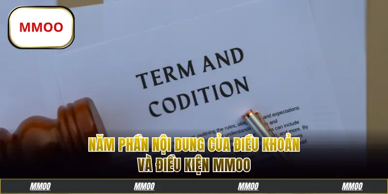 Năm phần nội dung của điều khoản và điều kiện MMOO